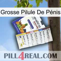 Grosse Pilule De Pénis 11